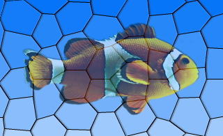 Opacity effect on an image of a fish