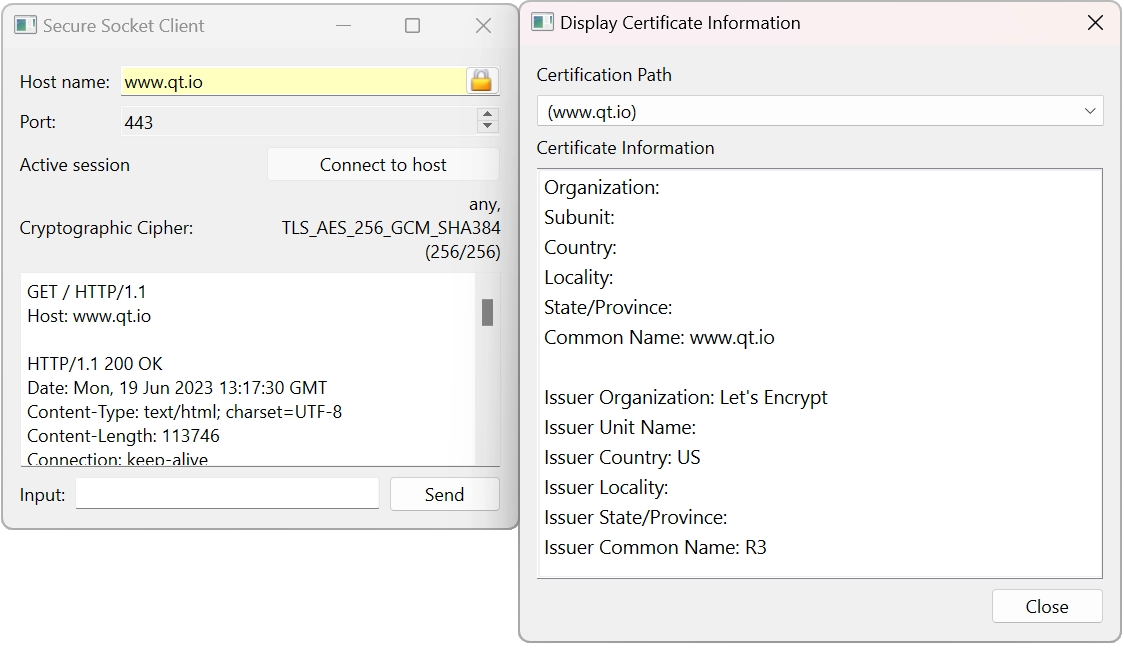 The user enters the host name and port that they want to connect to, and are then able to view the security certificate