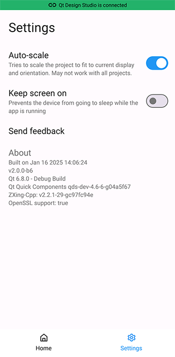 Settings of the Qt UI Viewer